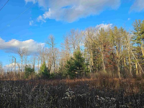 v/l Whittemore Road, Sherman Township, MI, 48748 | Card Image