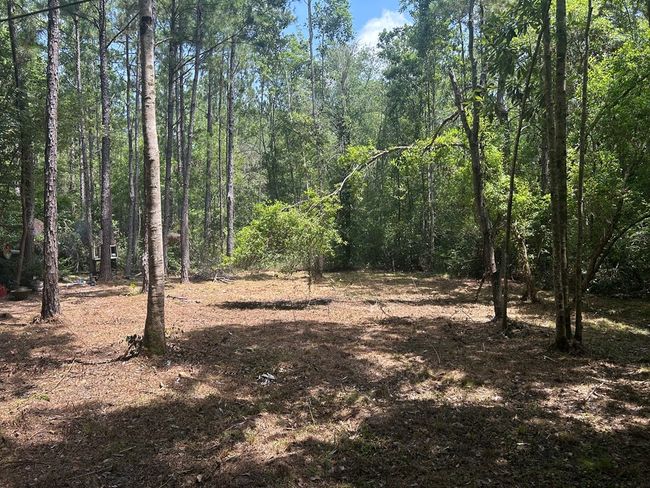 93 Lazy Oak Ln, Home with 0 bedrooms, 0 bathrooms and null parking in Picayune MS | Image 5