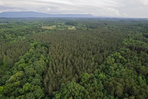 0 County Road 966, Calhoun, TN, 37309 | Card Image