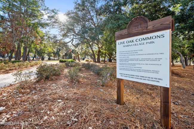 523 Trisail Ter, House other with 4 bedrooms, 3 bathrooms and 2 parking in Wilmington NC | Image 83
