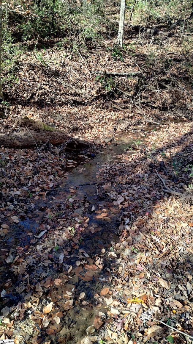 00A Sullivan Rd, Home with 0 bedrooms, 0 bathrooms and null parking in Laurens SC | Image 7