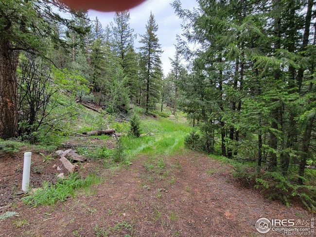 1 Mountain Lion Track Court, Home with 0 bedrooms, 0 bathrooms and null parking in Livermore CO | Image 8