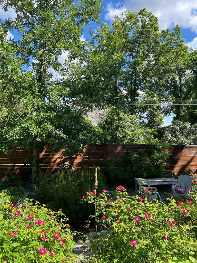 Residential in Medicine Hat
