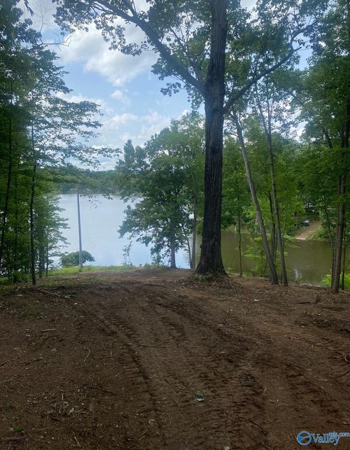 Lot 2060 County Road 182, Cedar Bluff, AL, 35959 | Card Image