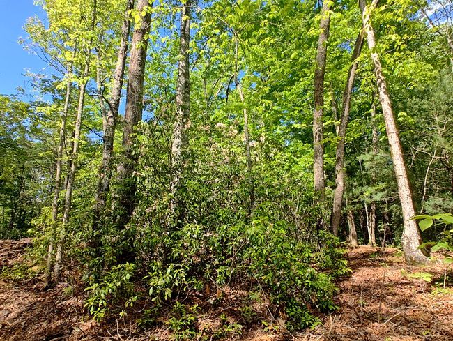 Lot 3 Megan Trace Ln, Home with 0 bedrooms, 0 bathrooms and null parking in Turtletown TN | Image 9