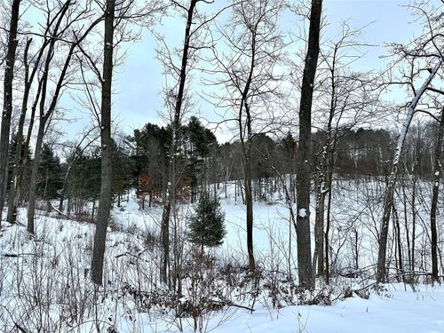 TBD 13.88 Acres Antler Lake Drive, Milltown, WI, 54858 | Card Image