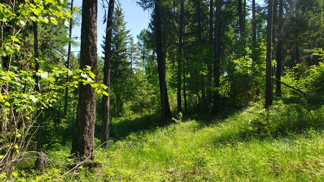 500 Blacktail Heights Rd, Home with 0 bedrooms, 0 bathrooms and null parking in Lakeside MT | Image 10