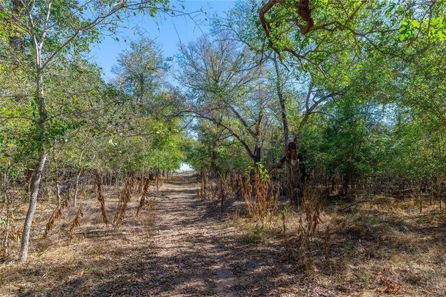 3597 Baker Rd, Home with 0 bedrooms, 0 bathrooms and null parking in Kingsbury TX | Image 10
