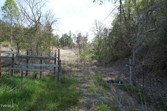 0 Coy Bradley Ln, Home with 0 bedrooms, 0 bathrooms and null parking in Bulls Gap TN | Image 24