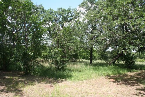 215 Buzbee Rd, Palo Pinto, TX, 76484-3748 | Card Image