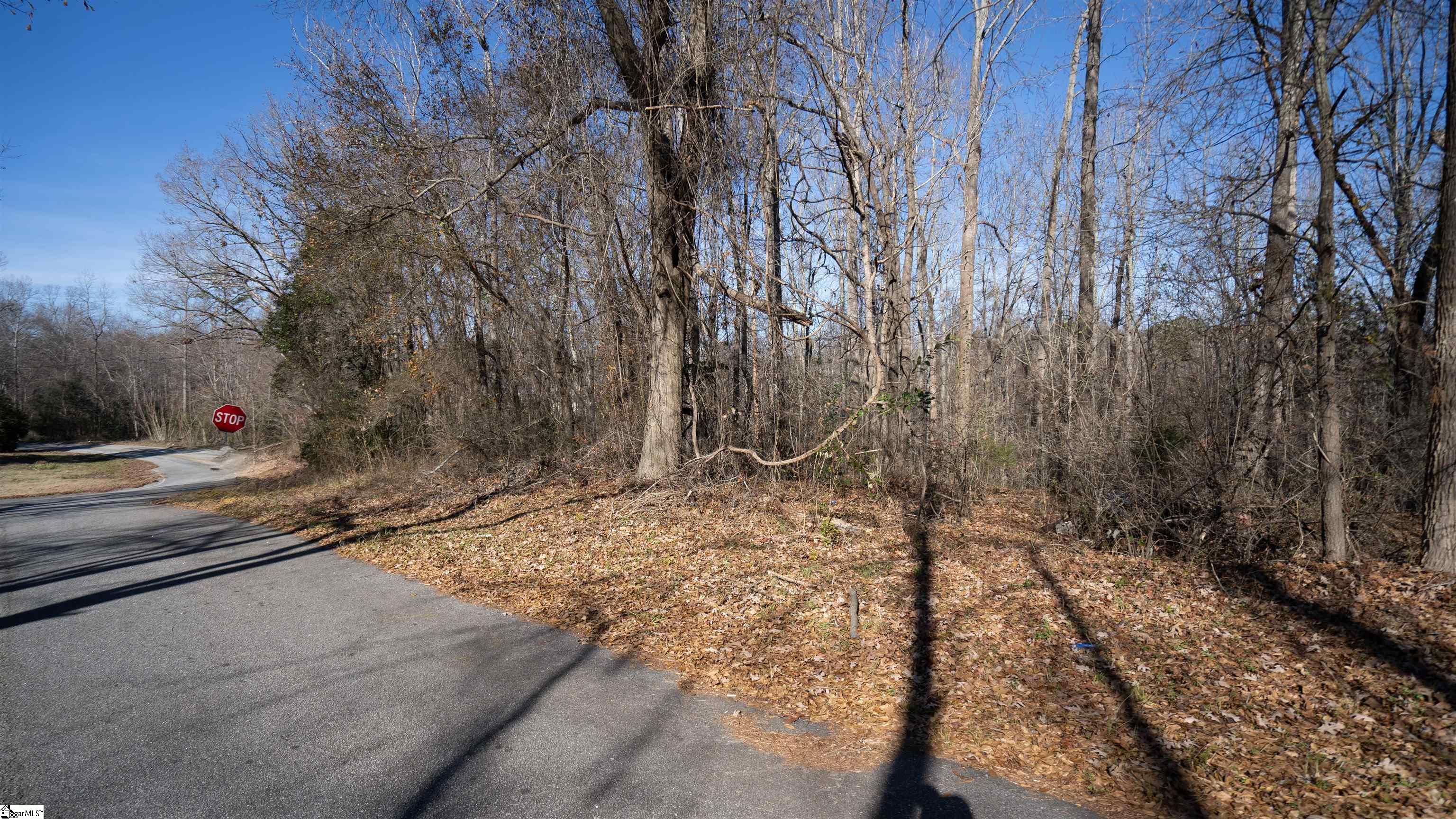 Land in Pacolet 2