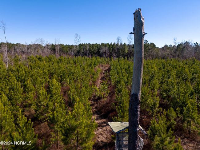 00 Sykes Town Rd, Home with 0 bedrooms, 0 bathrooms and null parking in Currie NC | Image 15