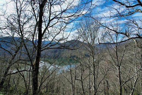 Lot 14 Holly Ridge Road, Nantahala, NC, 28781 | Card Image