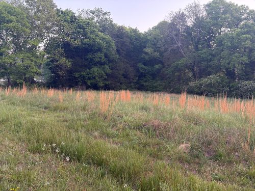 0 Williams Lane, Flintstone, GA, 30725 | Card Image