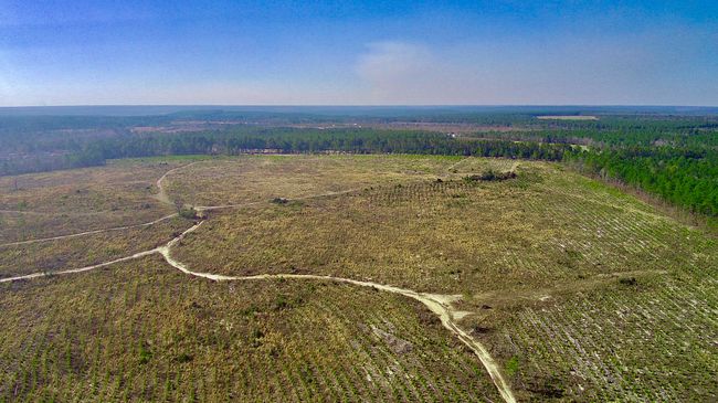 000 Three Notch Rd, Home with 0 bedrooms, 0 bathrooms and null parking in Monetta SC | Image 7