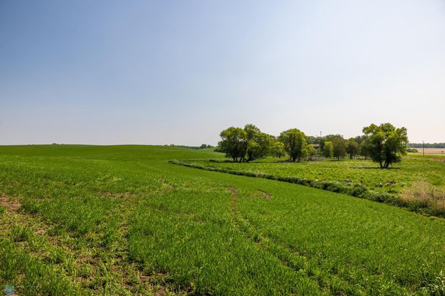 Amdak__Fosston MN - Land_0003.jpg | Image 4