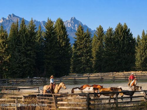 63556335 N Red Tail Road, Jackson, WY, 83001 | Card Image