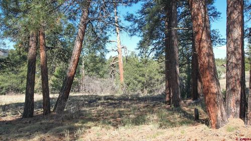 3169 Meadows Dr, Pagosa Springs, CO, 81147-7649 | Card Image
