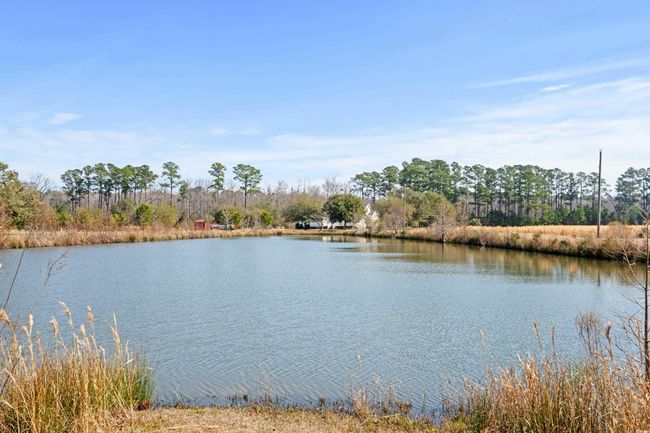 589 Loop Cir, House other with 3 bedrooms, 3 bathrooms and 4 parking in Longs SC | Image 35