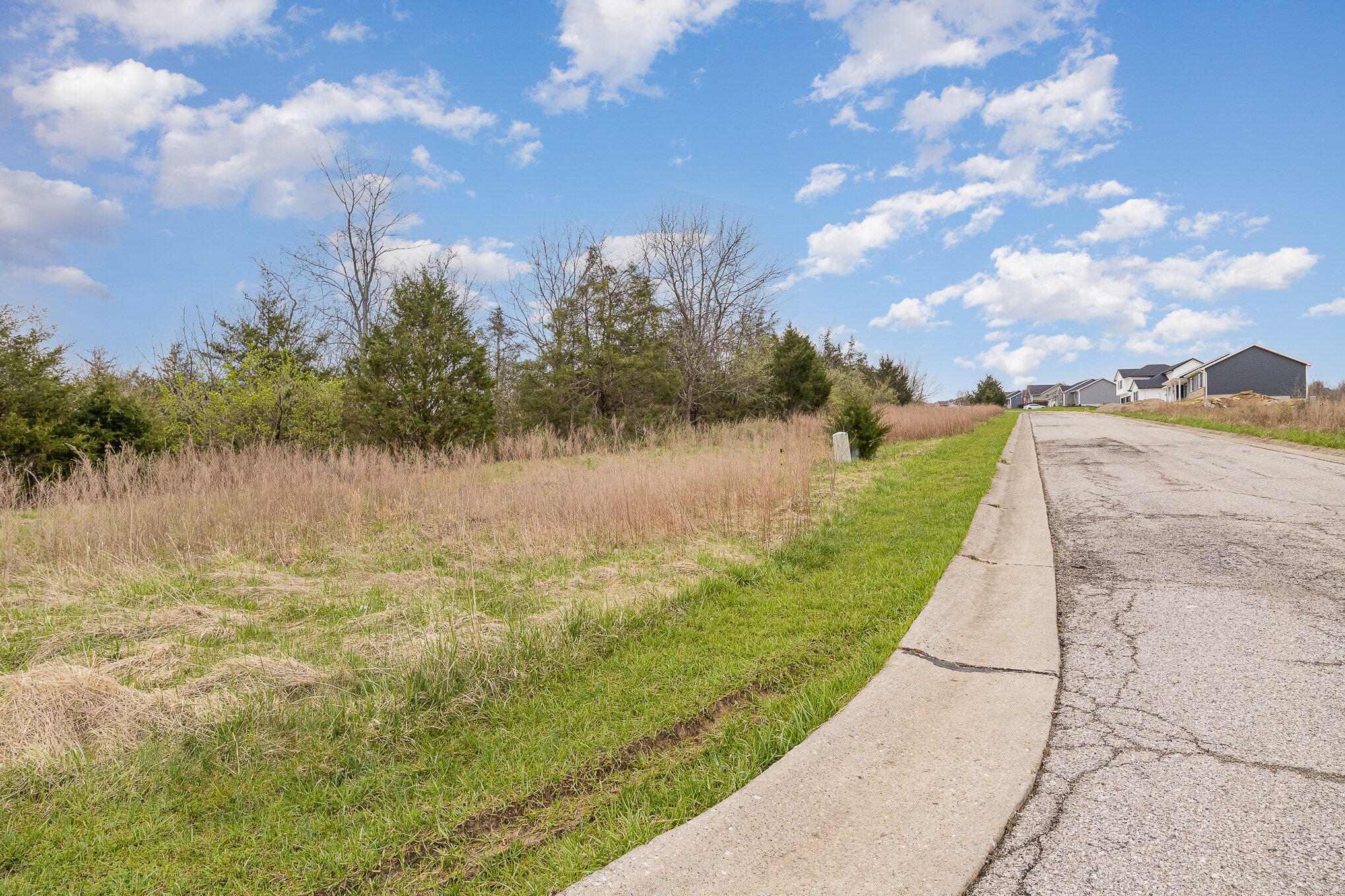 Land in Dry Ridge 3