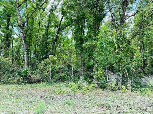 0 Ne 400th Ave, Old Town, FL, 32680 | Card Image
