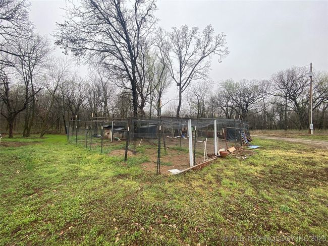 Fenced area for chickens | Image 31