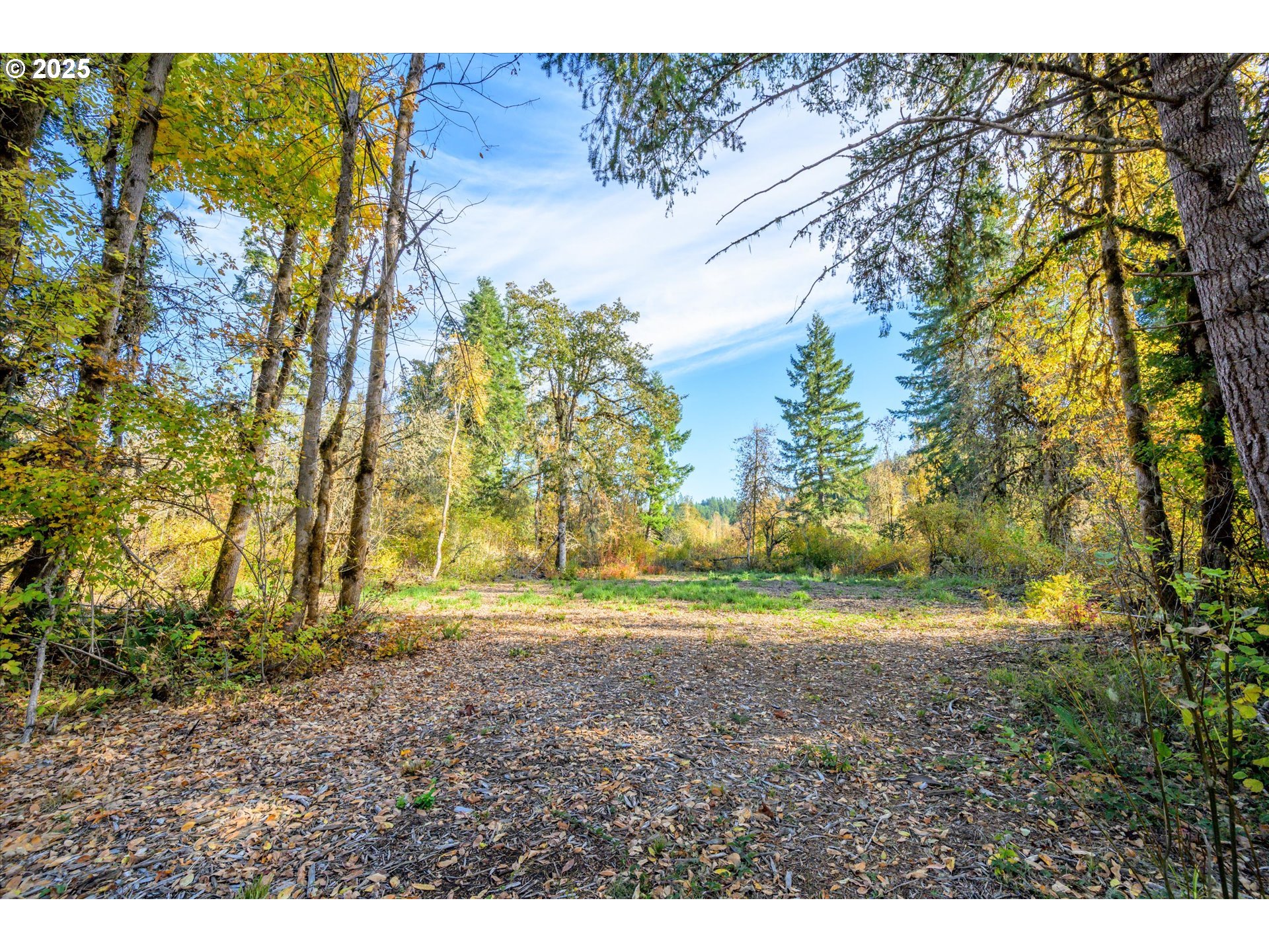 Land in Lorane 2