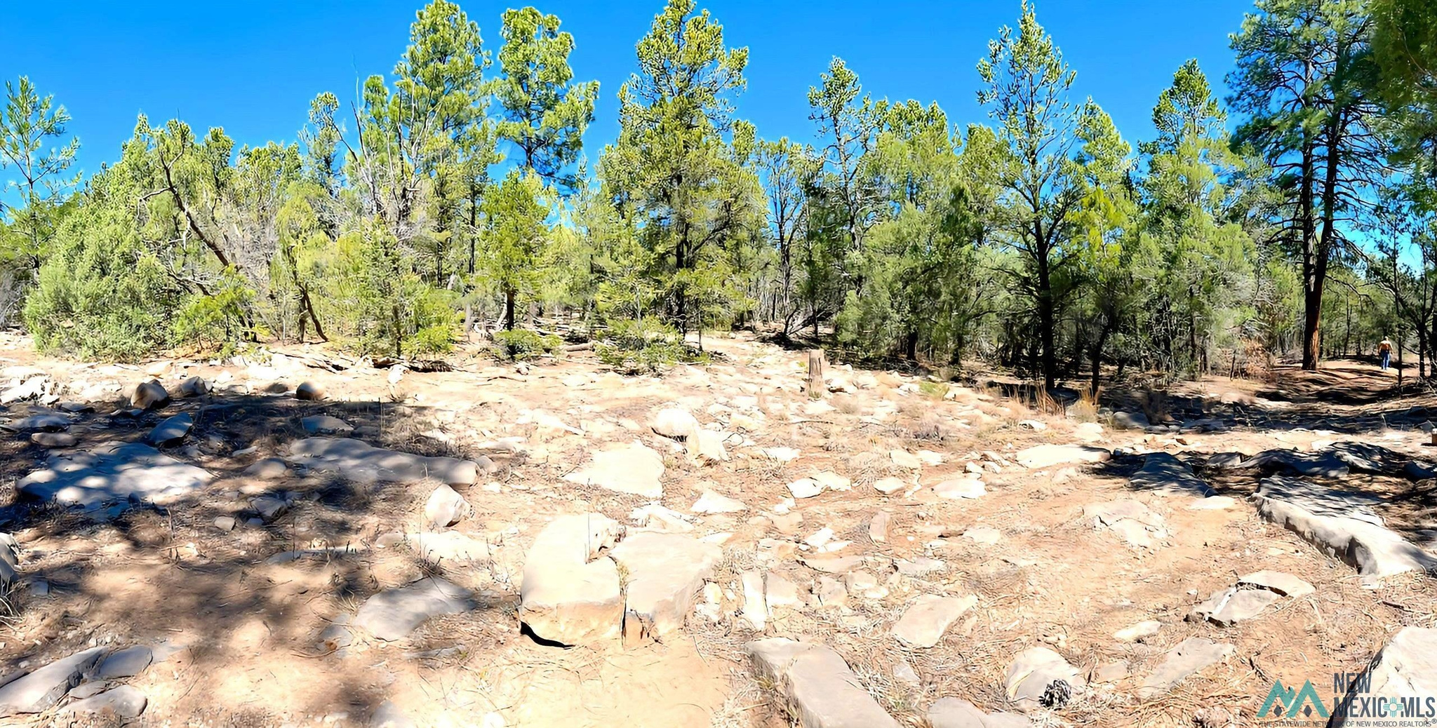 Land in Tijeras 5