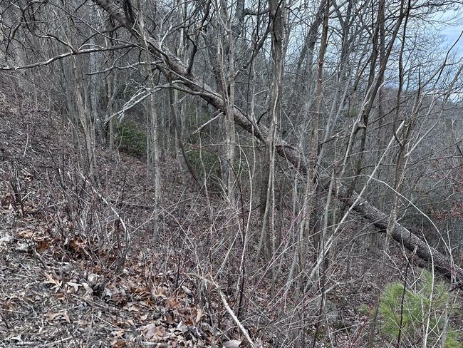 235 Andes Rdg, Home with 0 bedrooms, 0 bathrooms and null parking in Ellijay GA | Image 17