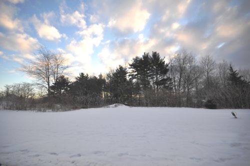 2648 Hunters Pt, Kalamazoo, MI, 49048-6105 | Card Image