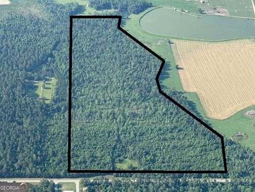 HWY 46 EAST OF Ga Highway 46 E, Metter, GA, 30439 | Card Image