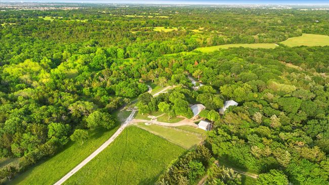 Aerial view with a forest view | Image 8
