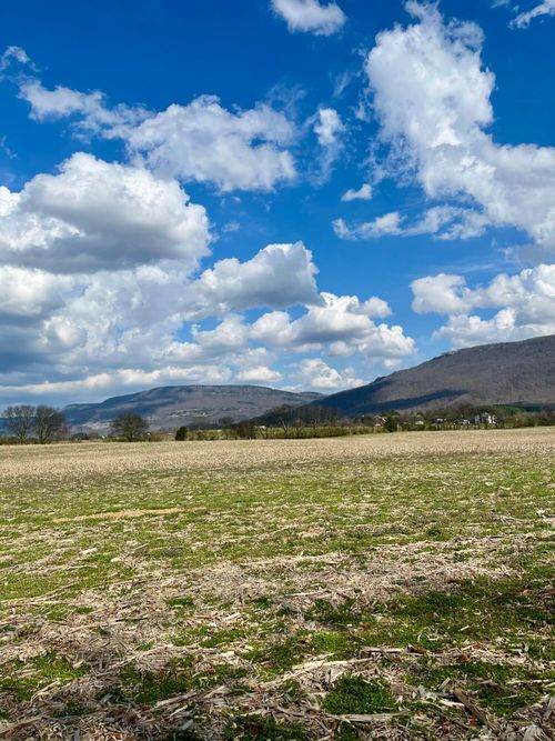 7799 E Valley Rd, Dunlap, TN, 37327-5823 | Card Image