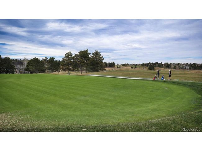 9878 Cypress Point Cir, House other with 4 bedrooms, 4 bathrooms and null parking in Lone Tree CO | Image 40