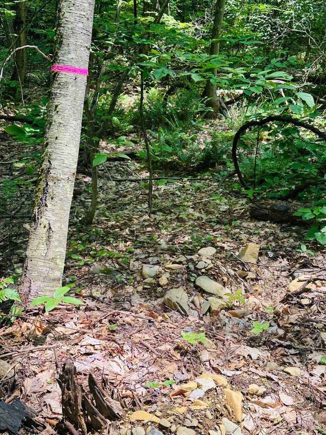 LOT-2 - 123 Rte 5, Home with 0 bedrooms, 0 bathrooms and null parking in Westminster VT | Image 5