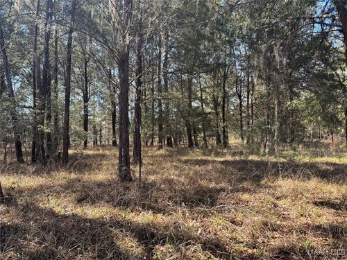 1 Prairie Bluff Drive, Catherine, AL, 36728 | Card Image