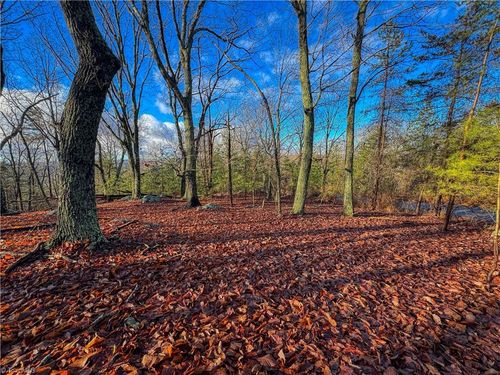 338 Sierra Trace Rd, Denton, NC, 27239-8059 | Card Image