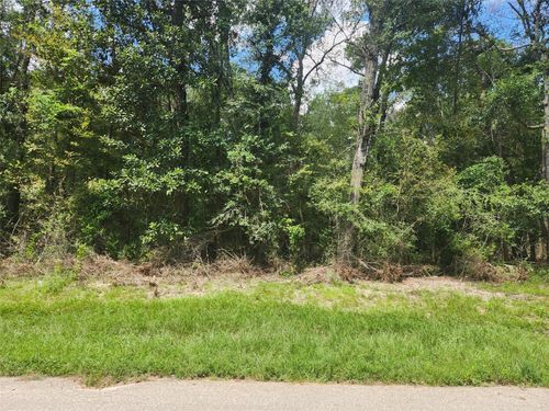 0 Idle Wood Roadway, New Caney, TX, 77357 | Card Image