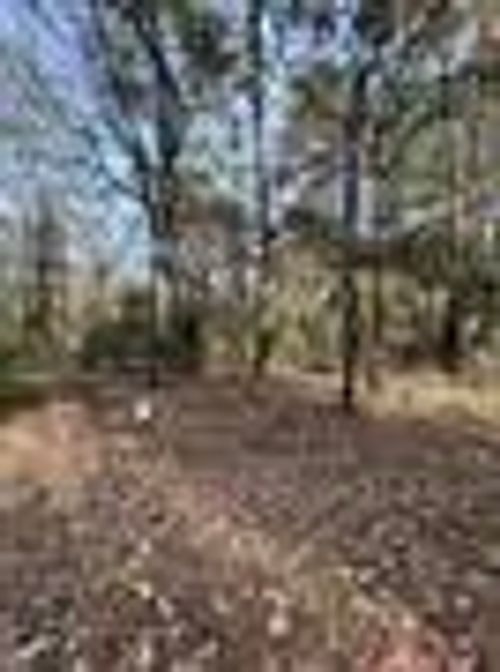 Lot 236 Canadian Drive Drive, Scroggins, TX, 75480 | Card Image