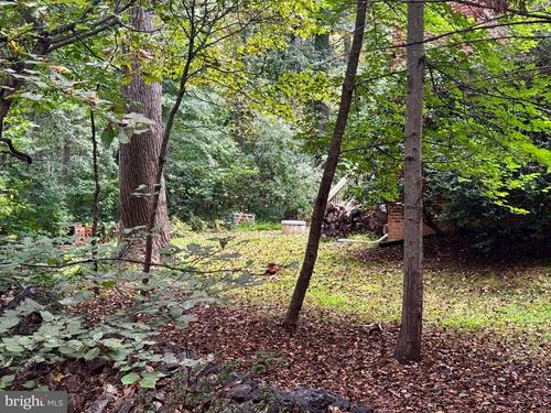 0 Mount Sinai Pt, FORT VALLEY, VA, 22652 | Card Image