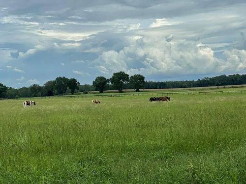 1346 Ne 709th Ave, OLD TOWN, FL, 32680-2957 | Card Image