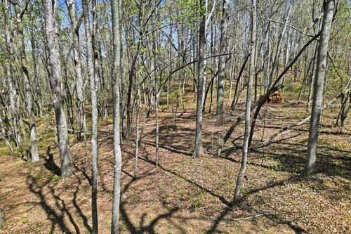 129 Heritage Plantation, Ball Ground, GA, 30107 | Card Image