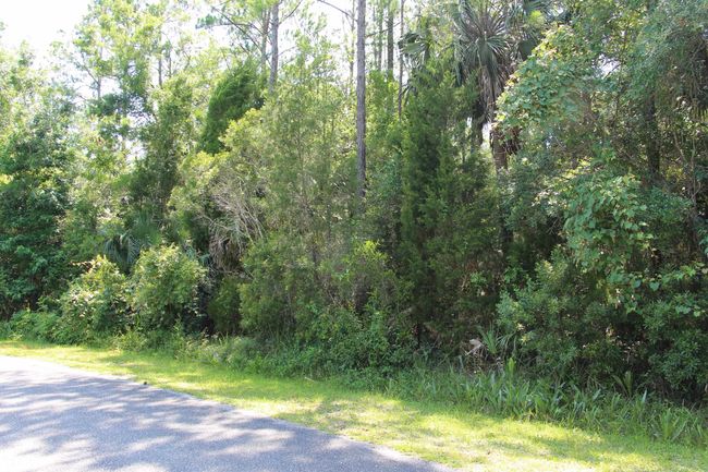 1 Hobbs Way, Home with 0 bedrooms, 0 bathrooms and null parking in ST MARKS FL | Image 9