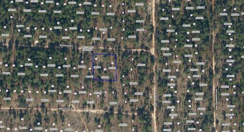 103 Wyoming St, Hawthorne, FL, 32640-4606 | Card Image