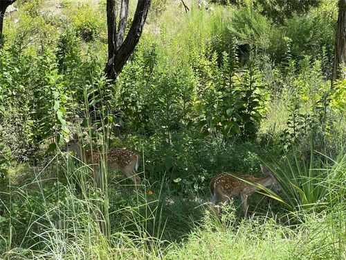 4908 Arrowhead Dr, Lago Vista, TX, 78645-6085 | Card Image