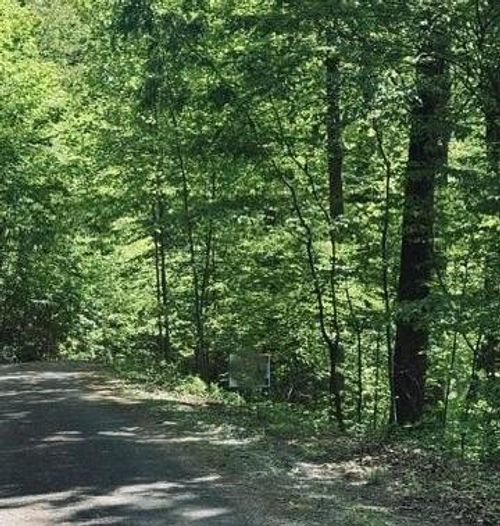 409&411 Barefoot Rise, Hiawassee, GA, 30546 | Card Image