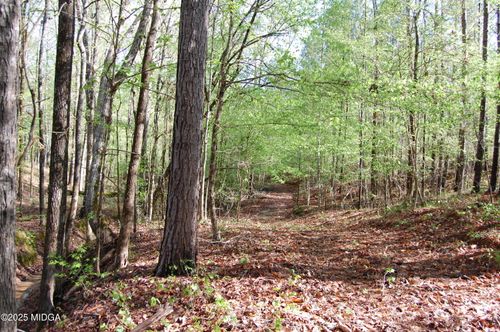 00000 Hwy 87 Tract 5, Forsyth, GA, 31029 | Card Image