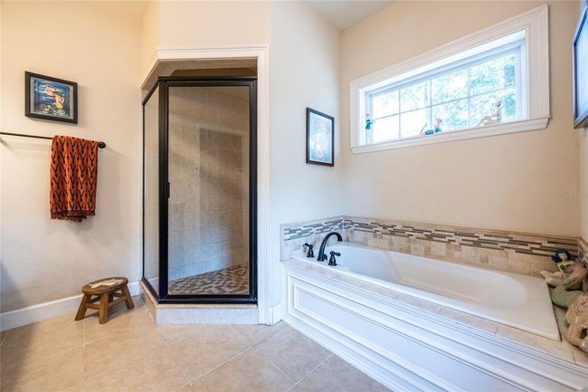 Master Bathtub | Image 23