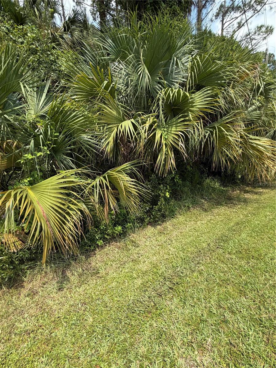 Land in PALM COAST 2
