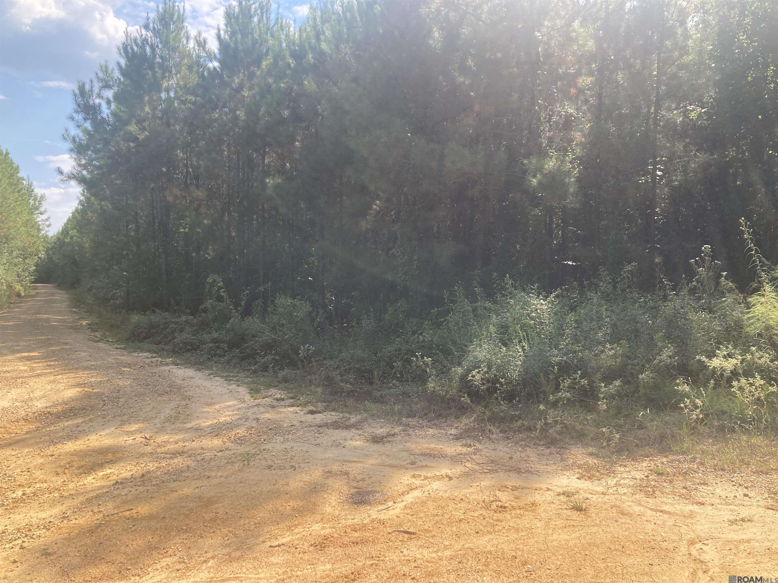 Land in Jackson